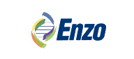 Enzo