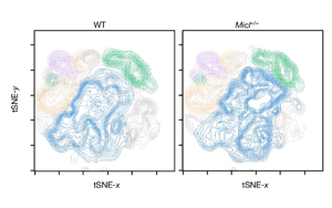 Nature打開了新的大門：一種免疫細胞調(diào)節(jié)因子可以減少炎癥