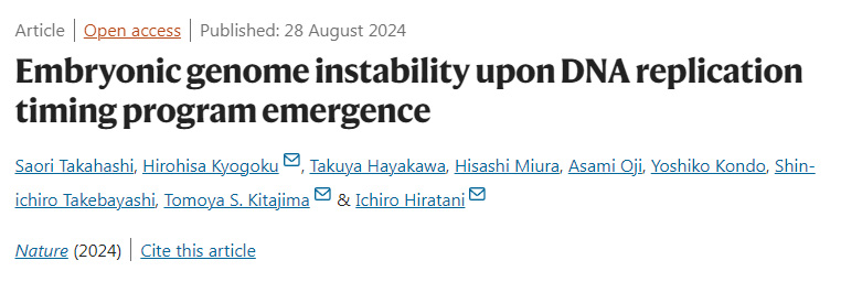 DNA復制定時程序出現時胚胎基因組的不穩(wěn)定性