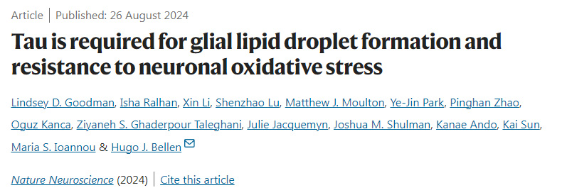 Tau是膠質脂滴形成和抵抗神經元氧化應激所必需的
