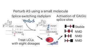 Nature Genetics：驚奇地發(fā)現(xiàn)選擇性剪接比蛋白質(zhì)多樣性更能影響基因表達(dá)？