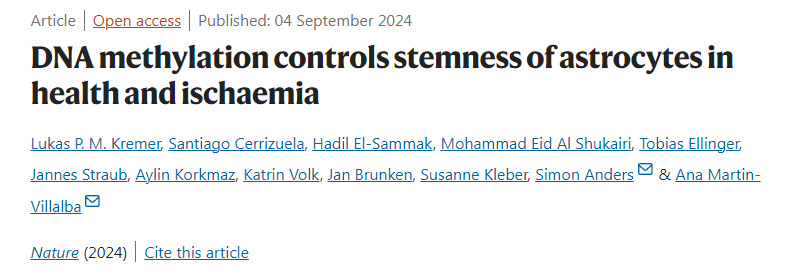 DNA甲基化控制健康和缺血星形膠質(zhì)細(xì)胞的干性