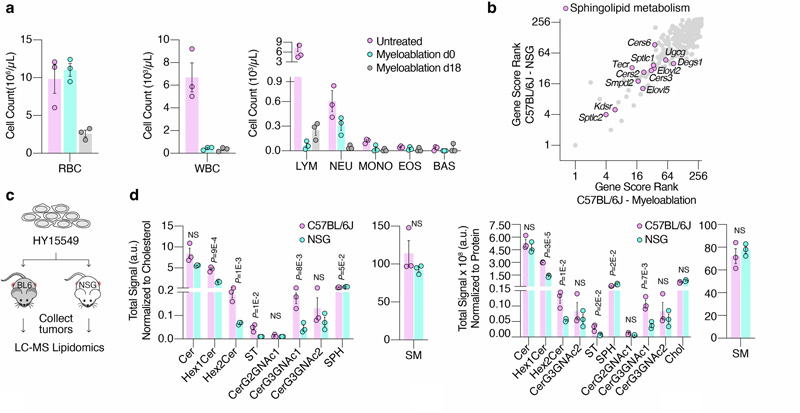 癌癥細(xì)胞鞘脂的可用性介導(dǎo)免疫逃避