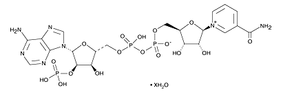 NADH（還原型輔酶I）