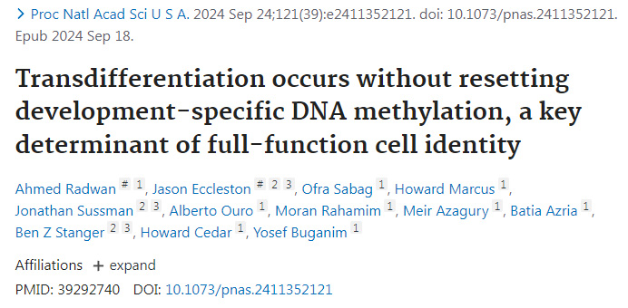 
轉(zhuǎn)分化發(fā)生時不會重置發(fā)育特異性DNA甲基化是全功能細(xì)胞身份的關(guān)鍵決定因素