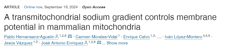 
線粒體鈉梯度控制哺乳動(dòng)物線粒體膜電位