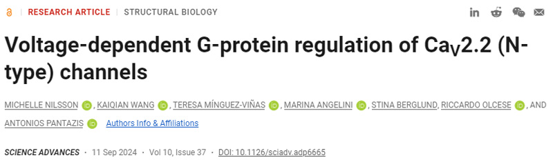 CaV2.2（N型）通道的電壓依賴(lài)性G蛋白調(diào)控