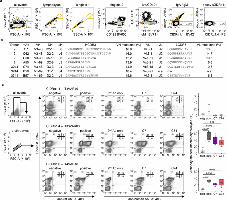 流式細(xì)胞術(shù)門控和單克隆抗體序列分析