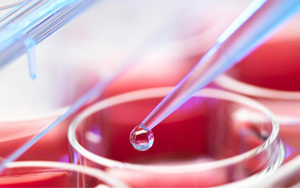 Seebio優(yōu)選無(wú)血清細(xì)胞培養(yǎng)基原料及常用添加劑