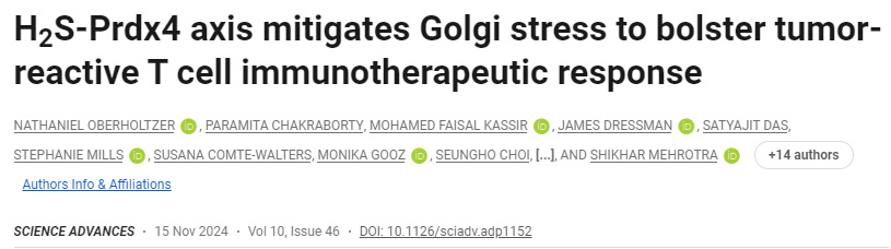 H2S-Prdx4軸減輕高爾基體應(yīng)激，增強(qiáng)腫瘤反應(yīng)性T細(xì)胞免疫治療反應(yīng)