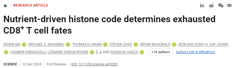 營養(yǎng)驅(qū)動(dòng)的組蛋白編碼決定了疲憊的CD8+T細(xì)胞命運(yùn)