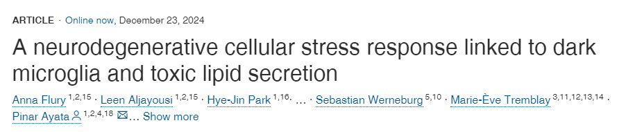 與暗小膠質(zhì)細(xì)胞和有毒脂質(zhì)分泌相關(guān)的神經(jīng)退行性細(xì)胞應(yīng)激反應(yīng)