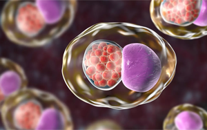 Cell：微生物組的變化預(yù)測性傳播疾病的風(fēng)險