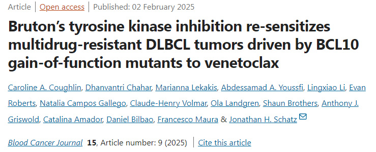 布魯頓酪氨酸激酶抑制使BCL10功能獲得突變體驅(qū)動的多藥耐藥DLBCL腫瘤對venetoclax重新敏感