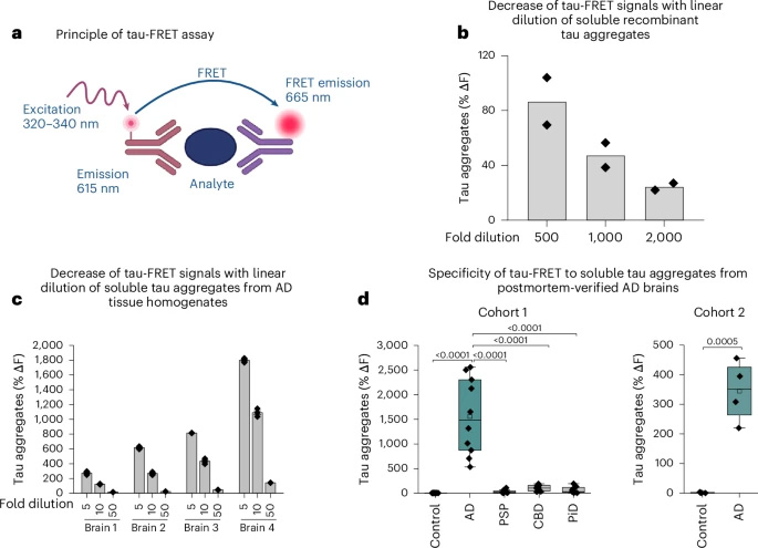 FRET檢測(cè)的神經(jīng)病理學(xué)驗(yàn)證，該檢測(cè)特異性識(shí)別AD中的STA，但不識(shí)別其他神經(jīng)退行性tau蛋白路徑