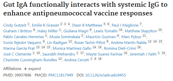 腸道IgA與全身性IgG的功能性互作增強(qiáng)抗肺炎球菌疫苗應(yīng)答