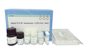 西寶生物隆重推出兩款蛋白酶檢測試劑盒 - 精準(zhǔn)檢測，賦能生物制藥質(zhì)量控制