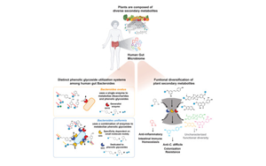 Cell：將飲食和腸道微生物結(jié)合起來預防胃腸道疾病