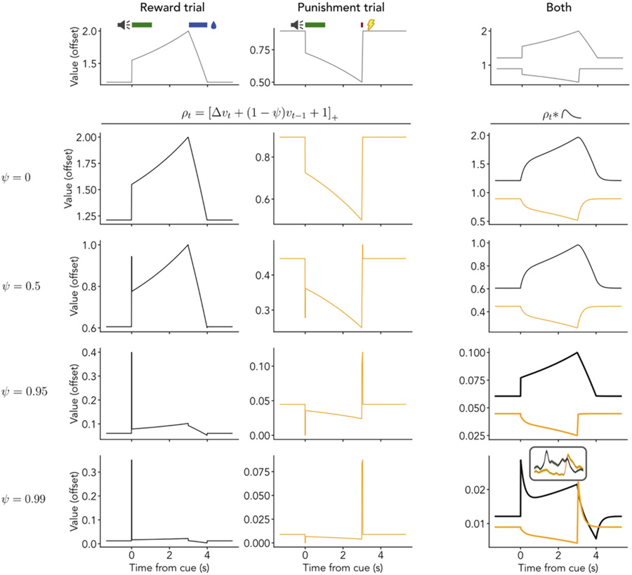 價值前瞻性編碼的簡化模型解釋血清素神經元對短期獎賞與懲罰的響應機制