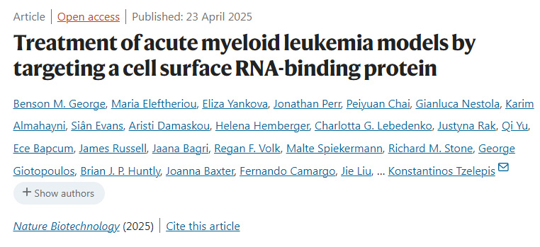 通過靶向細胞表面RNA結(jié)合蛋白治療急性髓系白血病模型