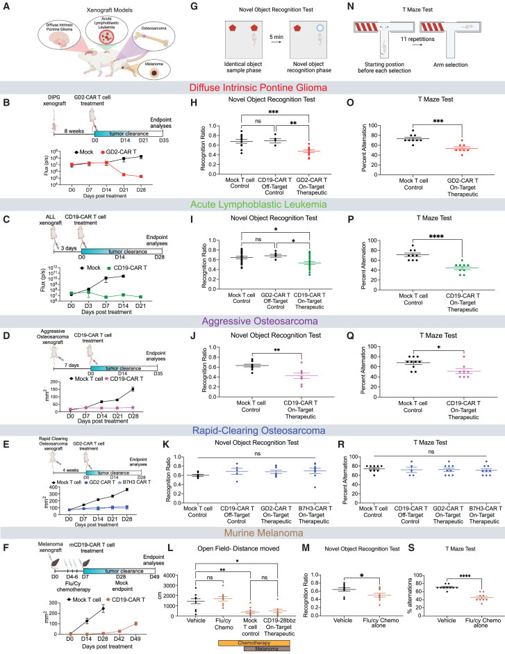  清除腫瘤的CAR T細(xì)胞治療后認(rèn)知障礙