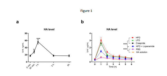  餐后循環(huán)透明質(zhì)酸水平的升高