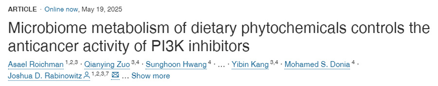  膳食植物化學(xué)物質(zhì)的微生物組代謝調(diào)控PI3K抑制劑的抗癌活性