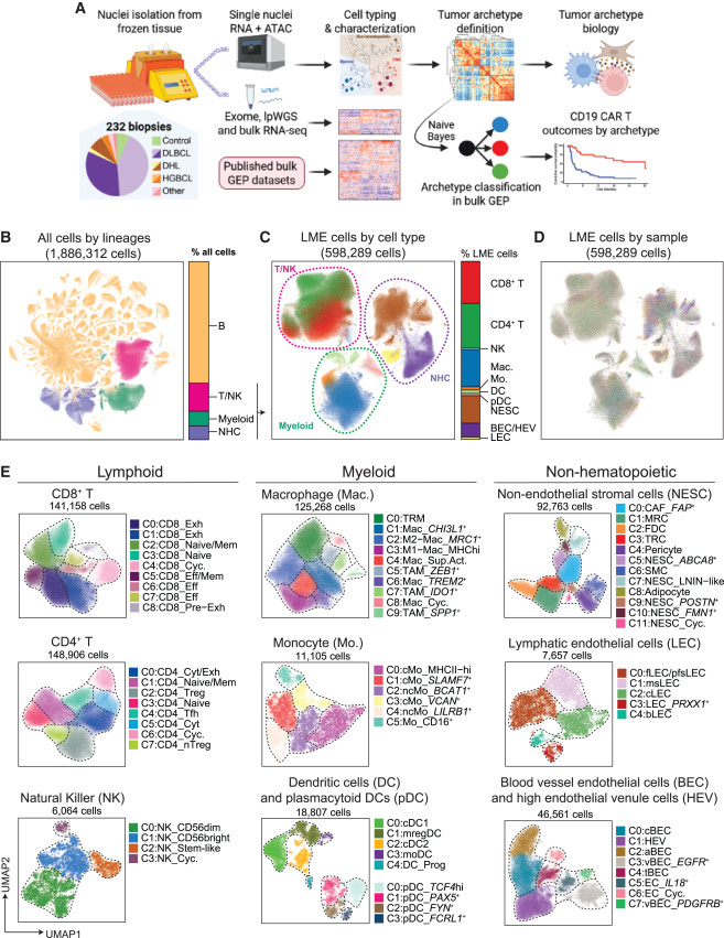 基于單細胞核多組學分析的研究設計與細胞類型概覽 基于單細胞核多組學分析的研究設計與細胞類型概覽