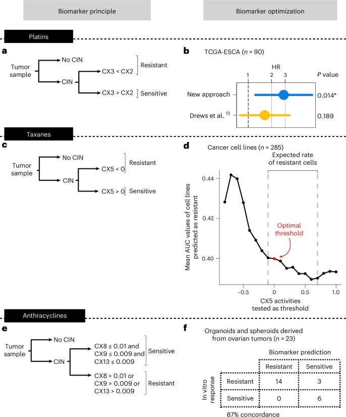 優(yōu)化用于預(yù)測泛癌種化療耐藥性的生物標(biāo)志物 優(yōu)化用于預(yù)測泛癌種化療耐藥性的生物標(biāo)志物