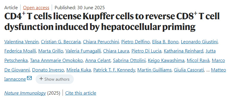CD4+ T細胞允許庫普弗細胞逆轉(zhuǎn)肝細胞啟動誘導(dǎo)的CD8+ T細胞功能障礙
