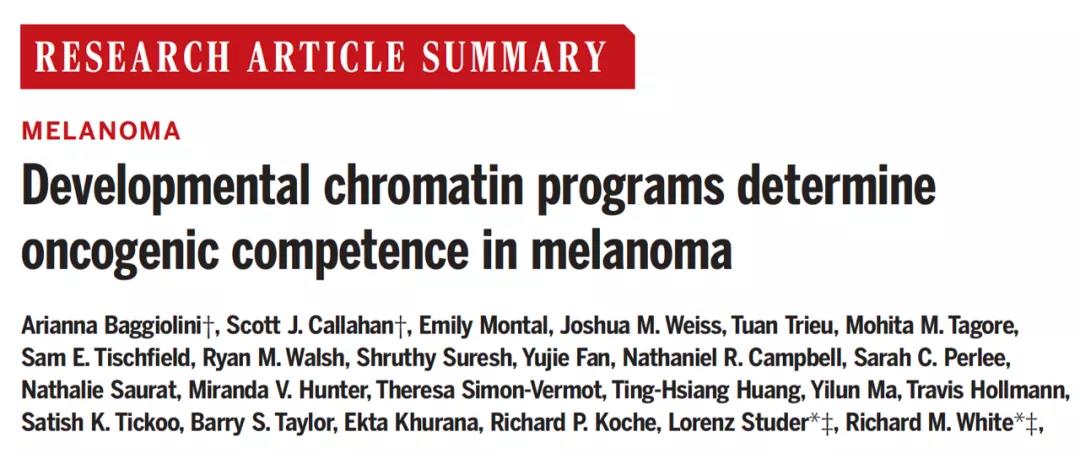 改寫教科書！Science揭示：為什么你體內(nèi)的癌細(xì)胞沒發(fā)展成癌癥？