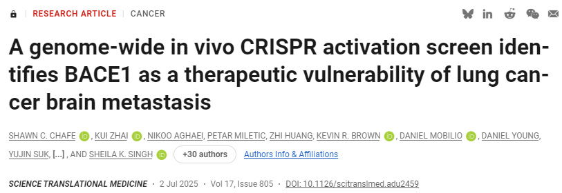 CD4+ T細(xì)胞允許庫普弗細(xì)胞逆轉(zhuǎn)肝細(xì)胞啟動誘導(dǎo)的CD8+ T細(xì)胞功能障礙