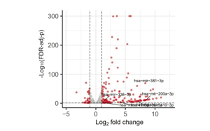 DNA去甲基化通過下調(diào)MNX1基因表達治療急性髓系白血病的新機制