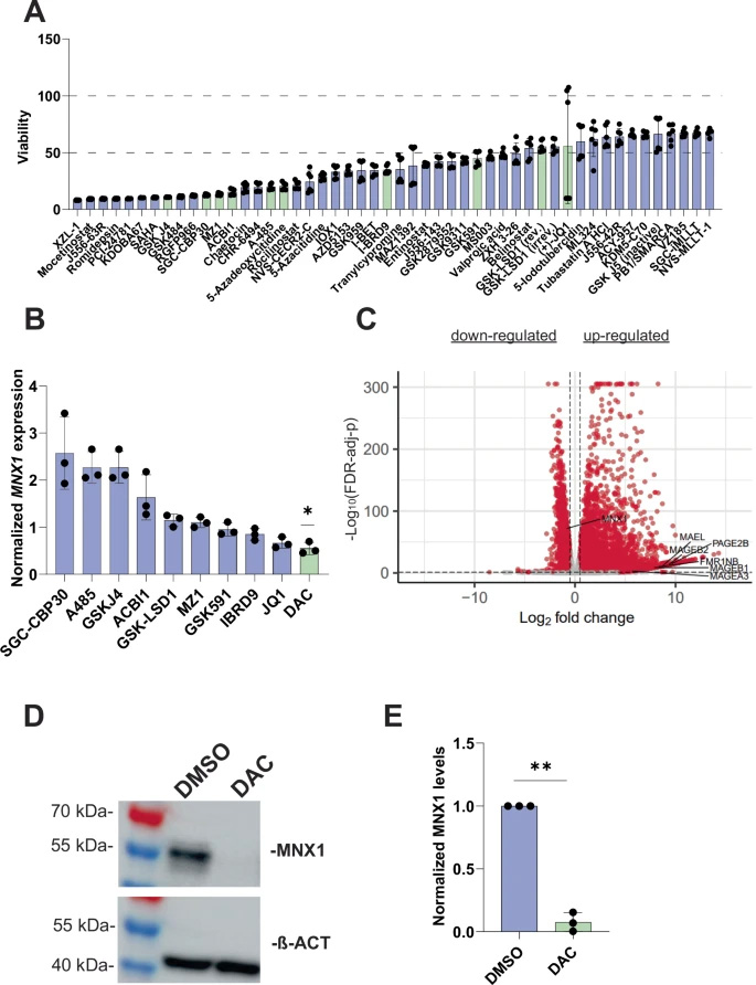 5-氮雜-2'-脫氧胞苷（DAC）介導的MNX1表達抑制