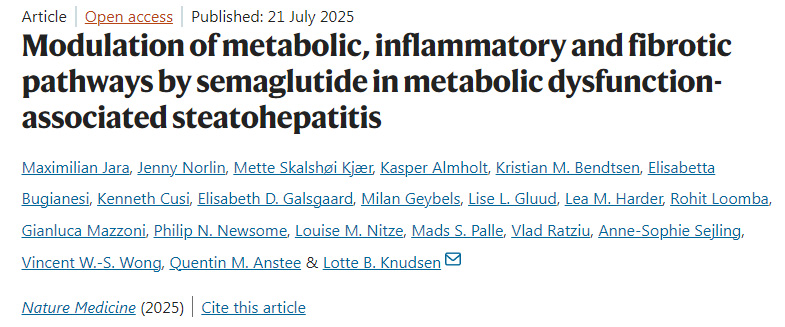 司美格魯肽在代謝功能障礙相關(guān)脂肪性肝炎中對(duì)代謝、炎癥和纖維化通路的調(diào)節(jié)作用