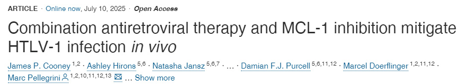 體內(nèi)實驗表明:聯(lián)合抗逆轉(zhuǎn)錄病毒療法與MCL-1抑制可緩解HTLV-1感染 體內(nèi)實驗表明:聯(lián)合抗逆轉(zhuǎn)錄病毒療法與MCL-1抑制可緩解HTLV-1感染