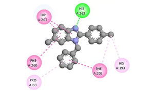 組蛋白去乙酰化酶6通過(guò)去乙?；c泛素化修飾ATG3調(diào)控自噬的新機(jī)制