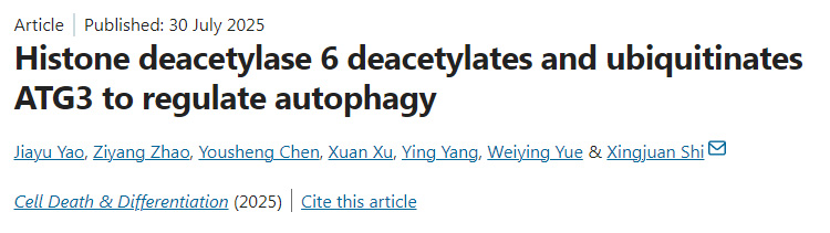 組蛋白去乙?；?通過去乙?；头核鼗揎桝TG3以調節(jié)自噬作用