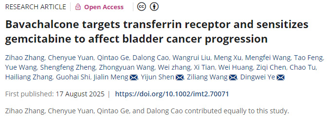 補(bǔ)骨脂查爾酮靶向轉(zhuǎn)鐵蛋白受體并增敏吉西他濱以調(diào)控膀胱癌進(jìn)展