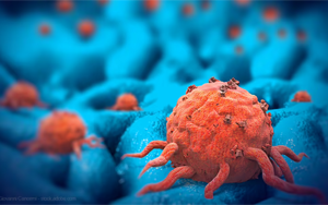 靶向β-連環(huán)蛋白共享突變的TCR-T細(xì)胞療法：實(shí)體瘤治療新突破