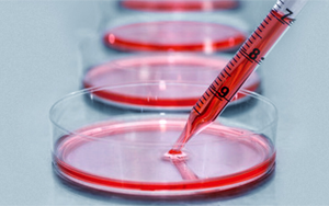 細胞培養(yǎng)基，撐起生物醫(yī)藥的半壁江山