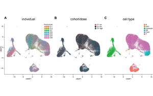 工程化細胞外囊泡（ILB-202）抑制NF-κB的安全性與抗炎作用：一項雙盲、隨機、安慰劑對照的I期臨床試驗