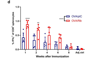 將免疫療法效果提升近3倍！這款進(jìn)入1期臨床的抗癌疫苗，會(huì)是癌癥“終結(jié)者”嗎？