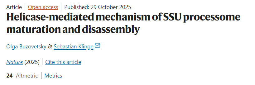 解旋酶介導的小亞基加工體成熟與解聚機制