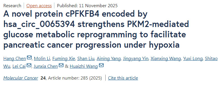 由hsa_circ_0065394編碼的新型蛋白cPFKFB4通過(guò)增強(qiáng)PKM2介導(dǎo)的葡萄糖代謝重編程，促進(jìn)胰腺癌在缺氧條件下的進(jìn)展