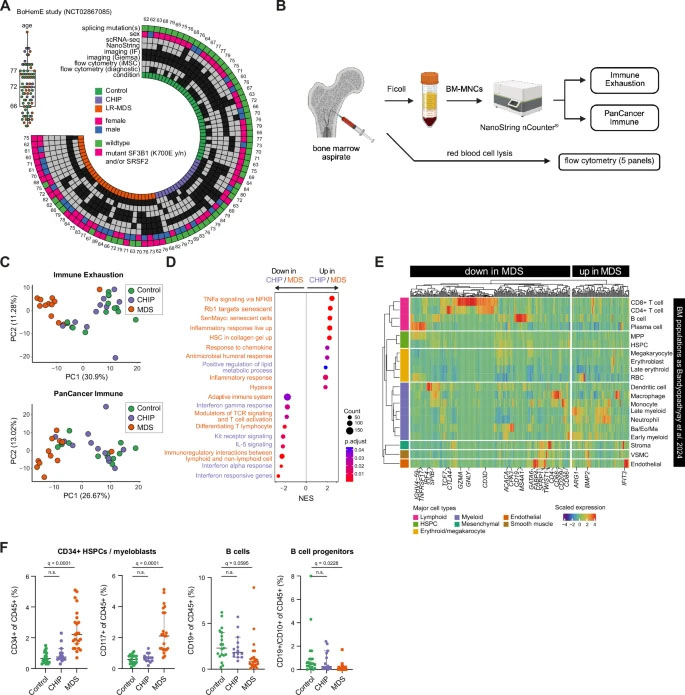 CHIP與MDS整體骨髓炎癥表達(dá)譜分析 CHIP與MDS整體骨髓炎癥表達(dá)譜分析