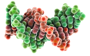 《Nature》不需要長期抗病毒治療就能控制HIV的關鍵