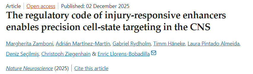 損傷響應增強子的調(diào)控規(guī)則使中樞神經(jīng)系統(tǒng)中的精準細胞狀態(tài)靶向成為可能 損傷響應增強子的調(diào)控規(guī)則使中樞神經(jīng)系統(tǒng)中的精準細胞狀態(tài)靶向成為可能