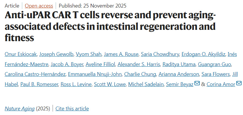 抗uPAR CAR-T細(xì)胞可逆轉(zhuǎn)并預(yù)防衰老相關(guān)的腸道再生與機(jī)能缺陷