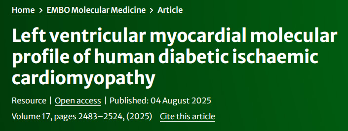 人類糖尿病缺血性心肌病的左心室心肌分子譜